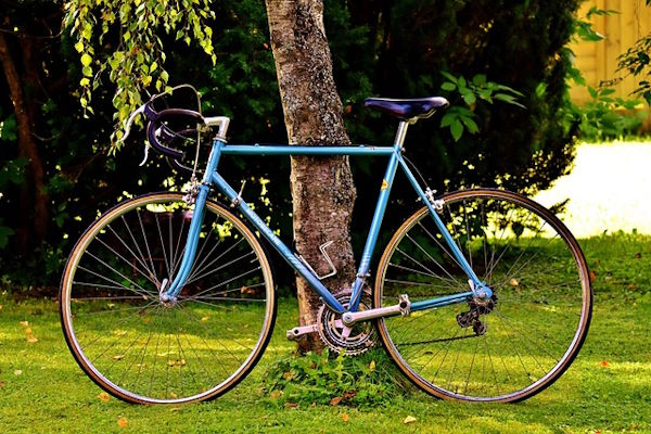 Cycle 01 400X600