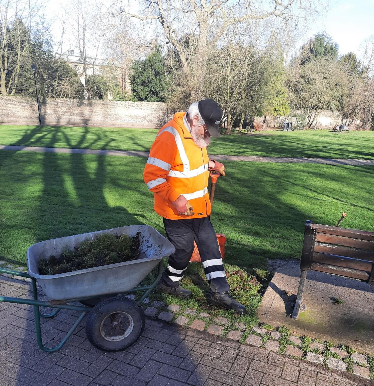 Man maintaining a park