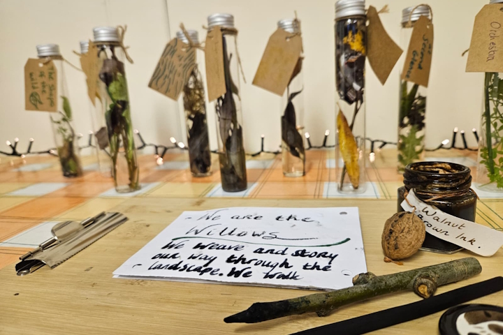 Creations from the Weaving Words with Willows workshops