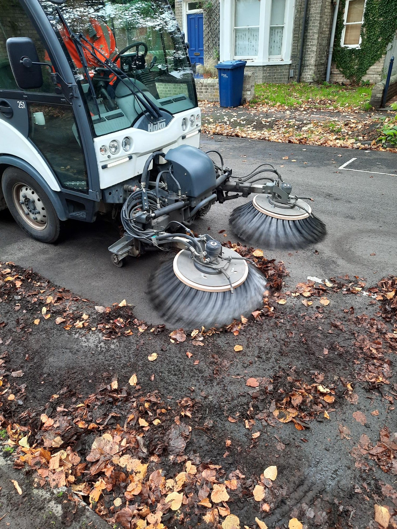 Street cleaning autumn leaves